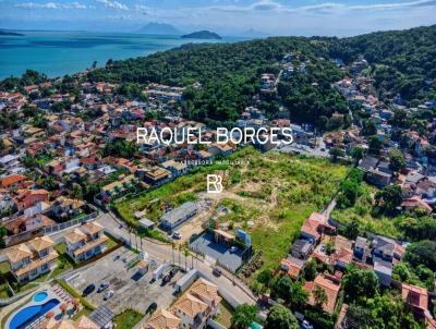 imagem-miniatura